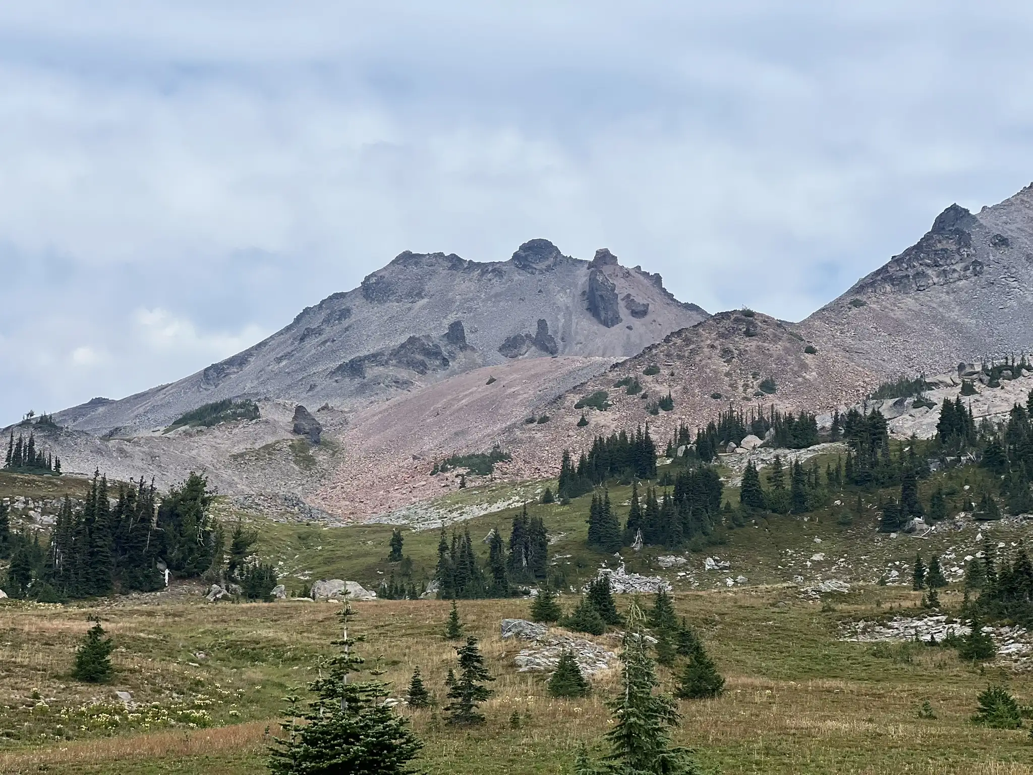 Old Snowy Mountain and Snowgrass Flat
